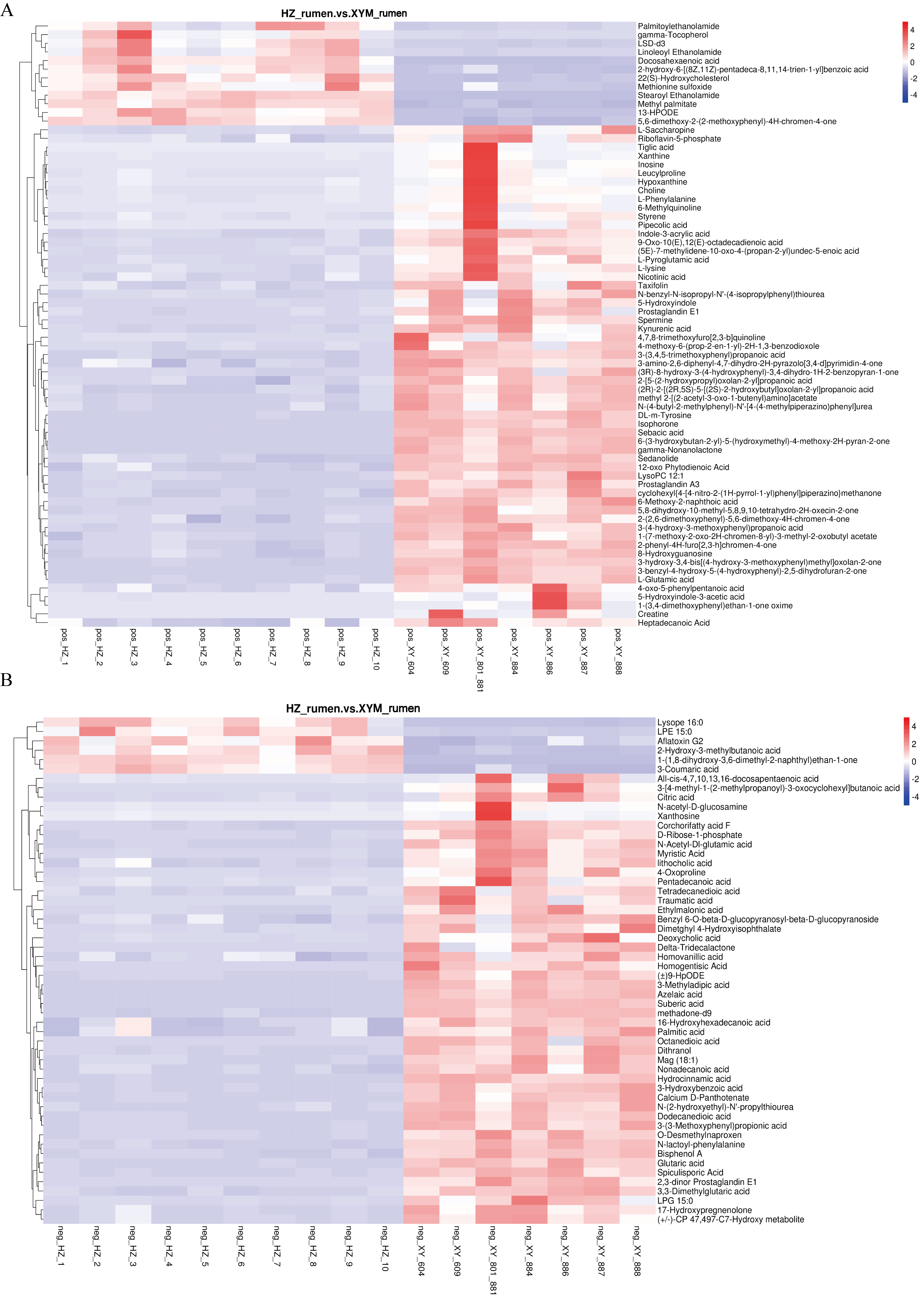 Correlation heat map of HZ and XY rumen metabolites