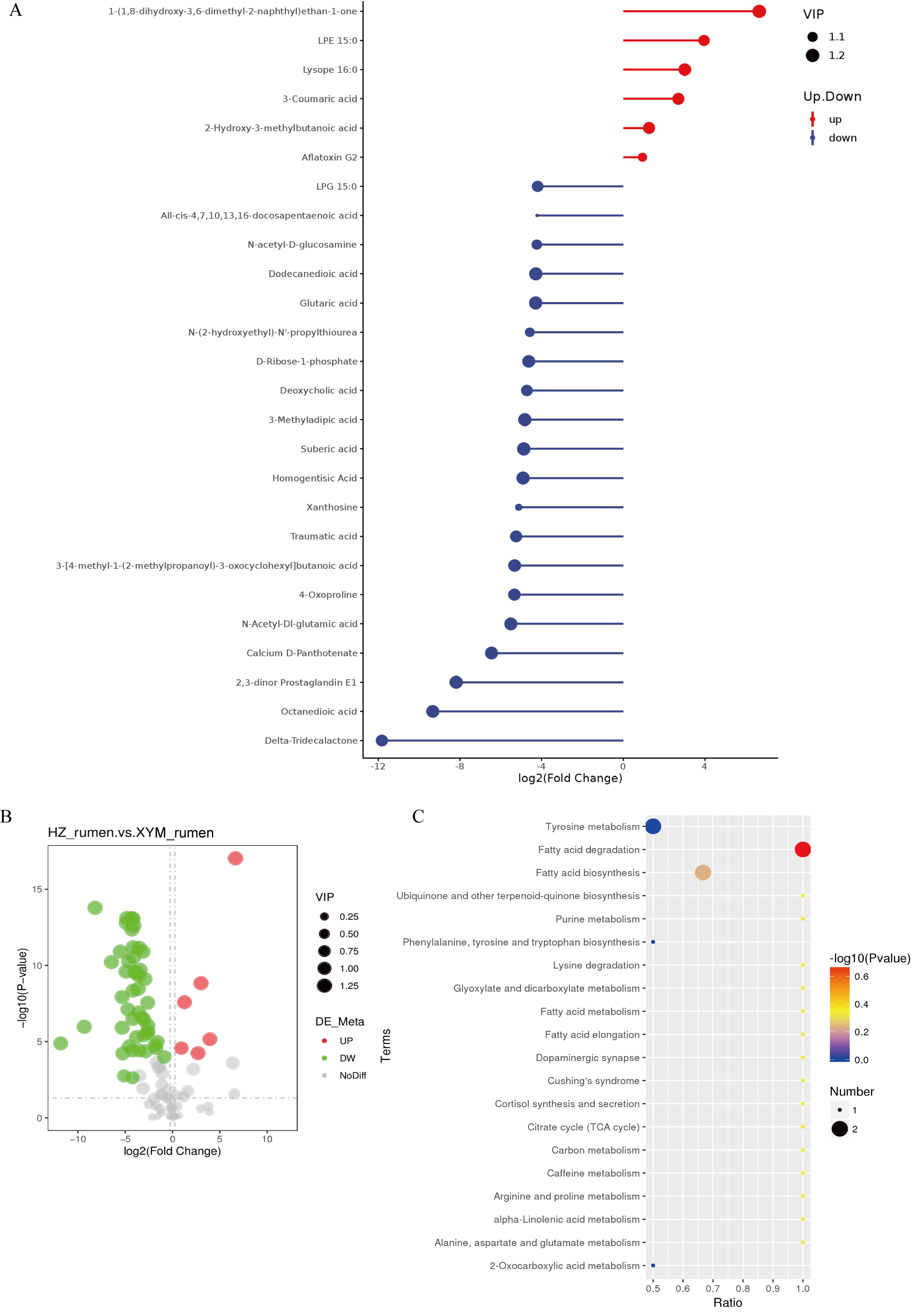 Analysis of differential metabolites